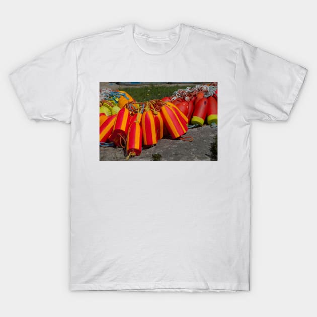 850_4897 T-Shirt by wgcosby